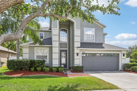3046 DONINGTON CASTLE LANE LAND O LAKES FL 34638