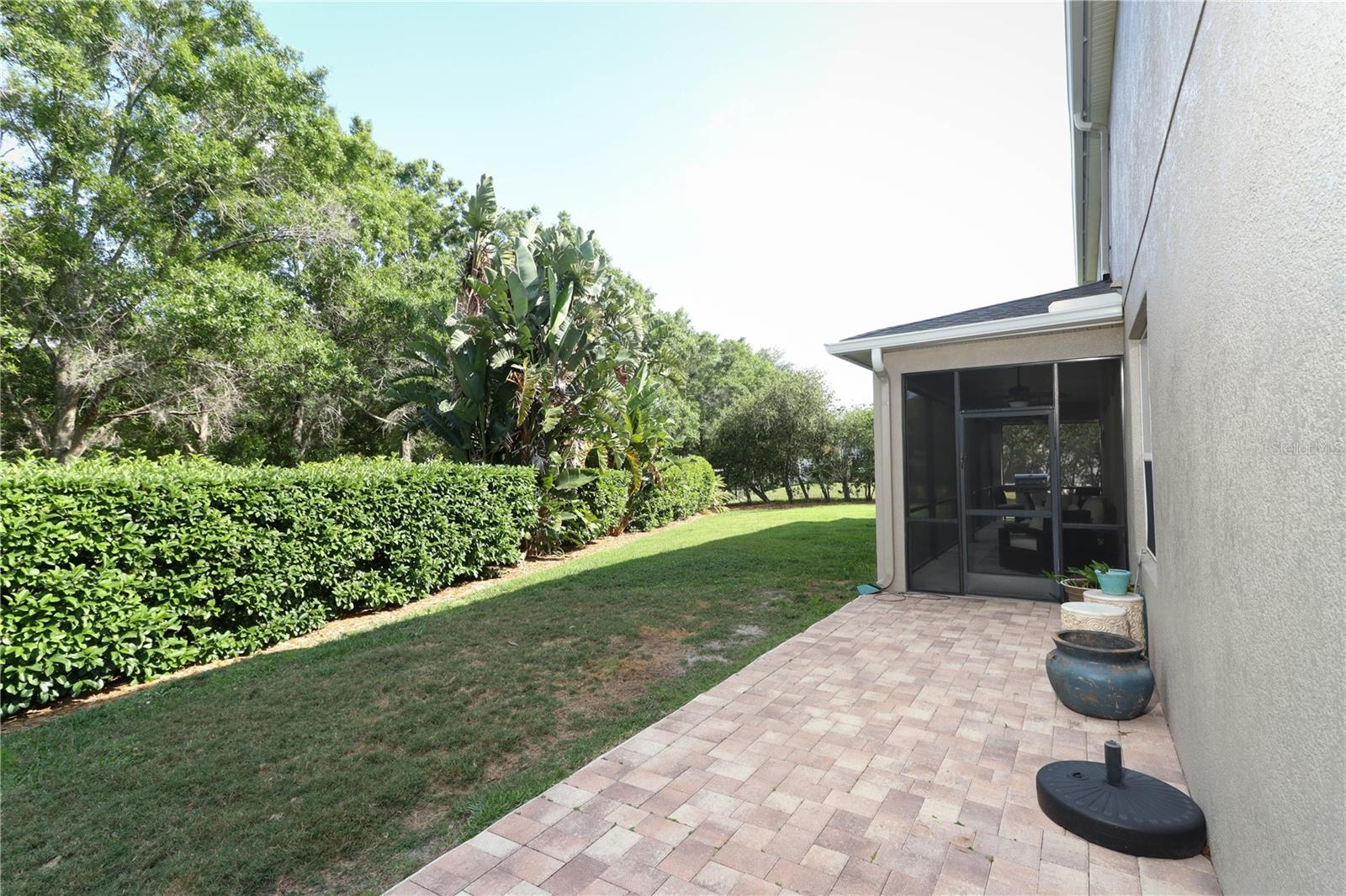 CYPRESS PRESERVE - Residential