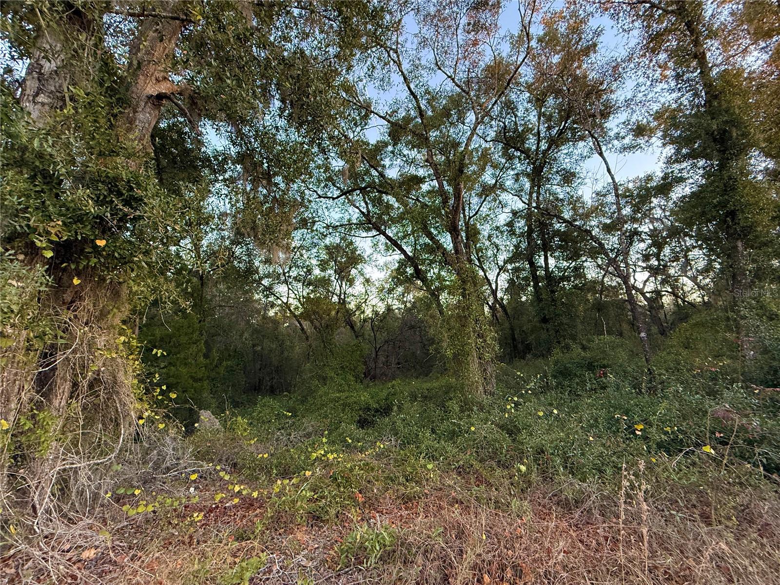 OAK FOREST ESTATES (OAK RIDGE ESTATES) - Land