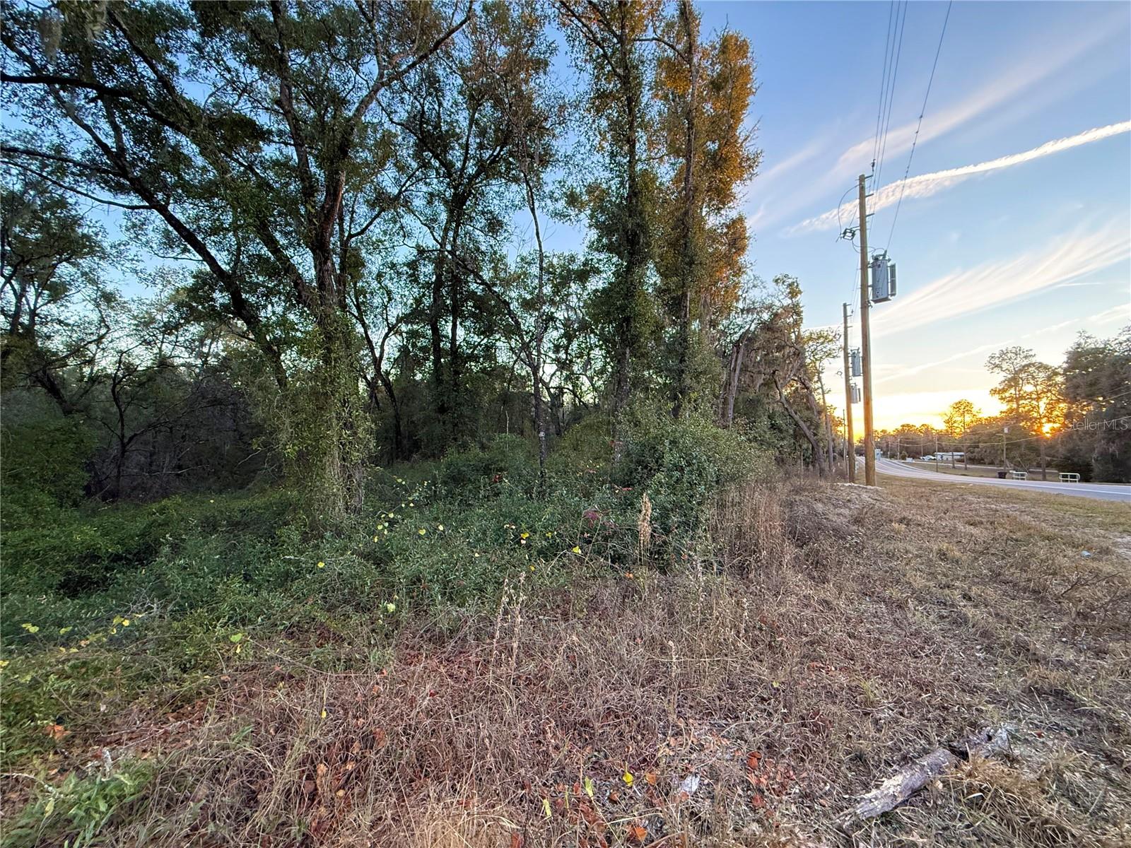 OAK FOREST ESTATES (OAK RIDGE ESTATES) - Land