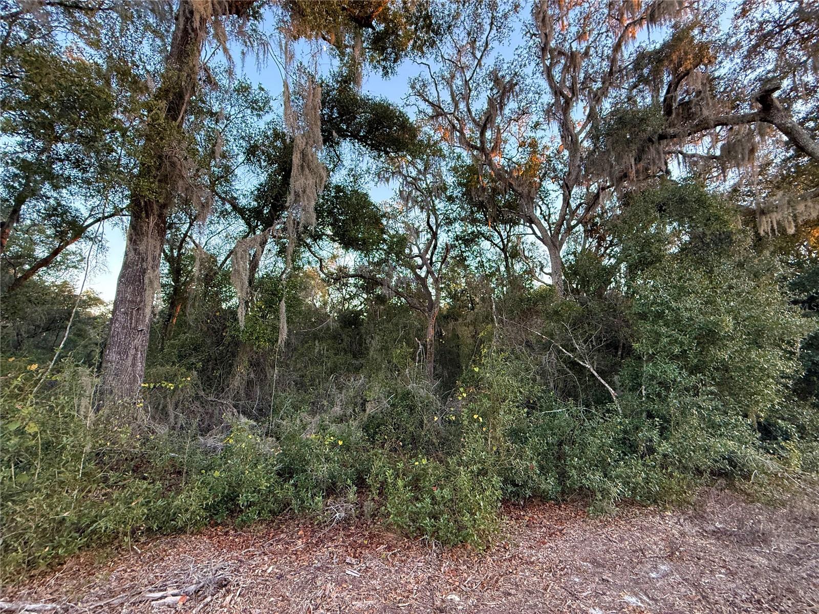 OAK FOREST ESTATES (OAK RIDGE ESTATES) - Land