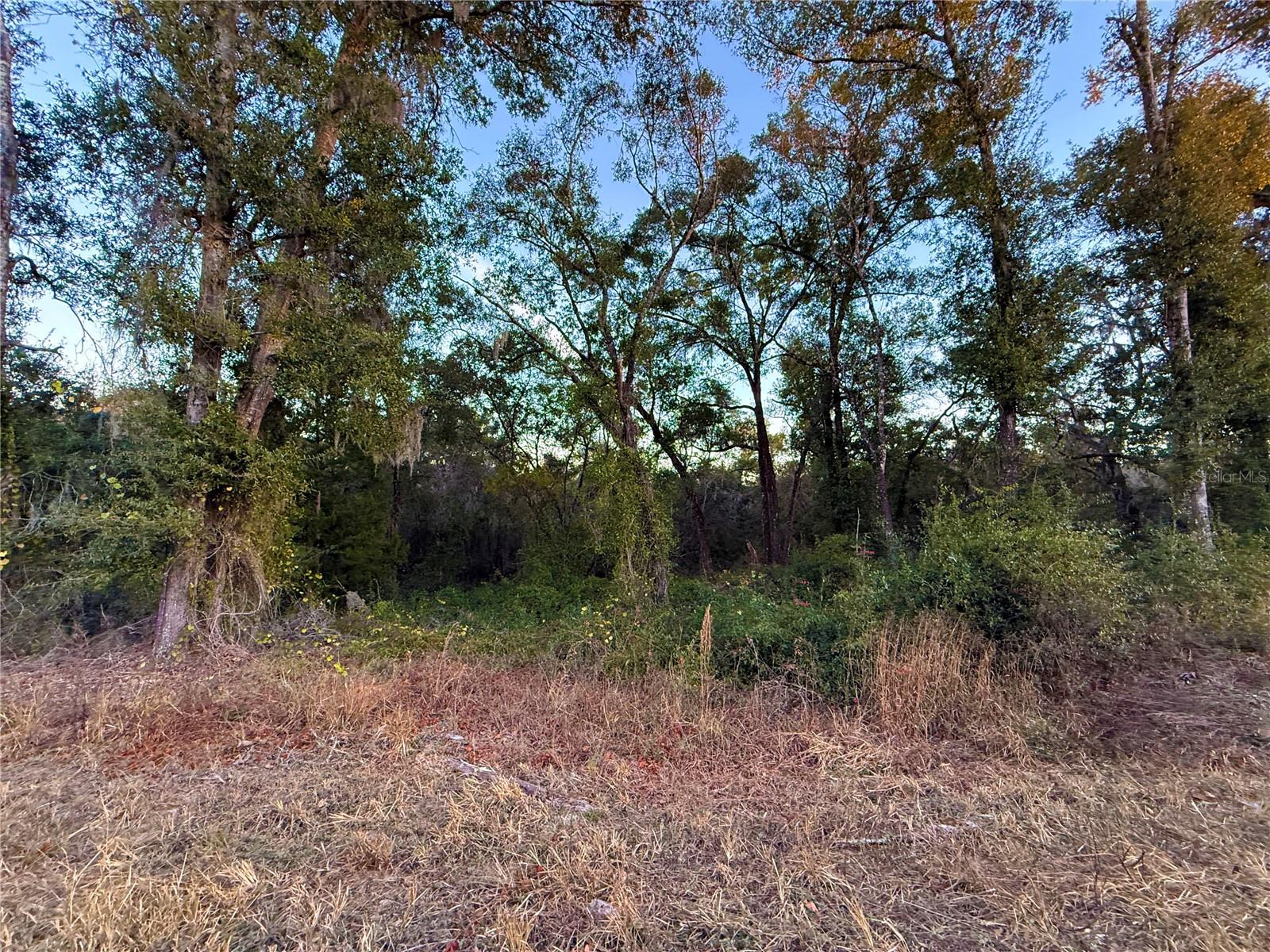 OAK FOREST ESTATES (OAK RIDGE ESTATES) - Land