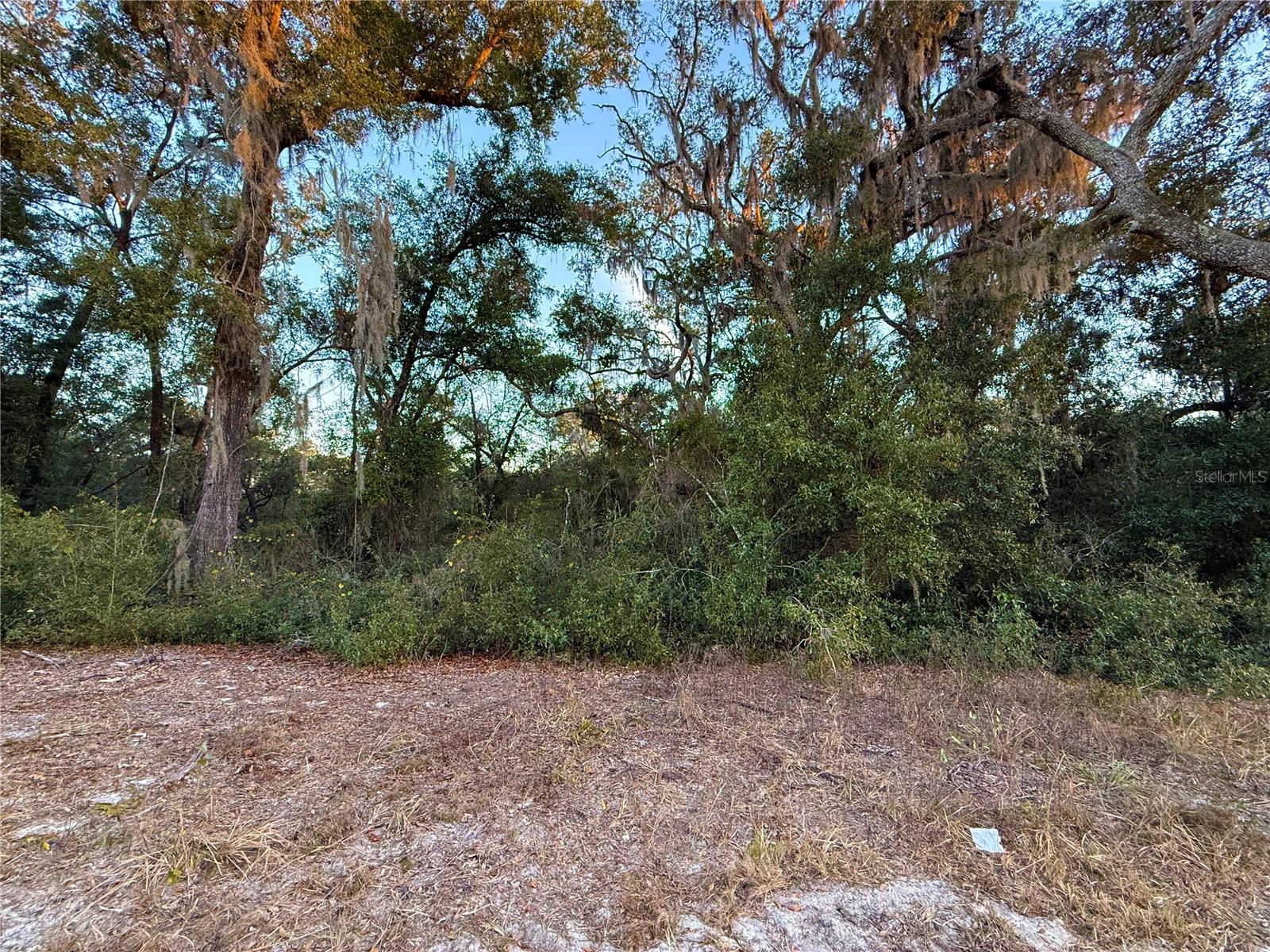 OAK FOREST ESTATES (OAK RIDGE ESTATES) - Land