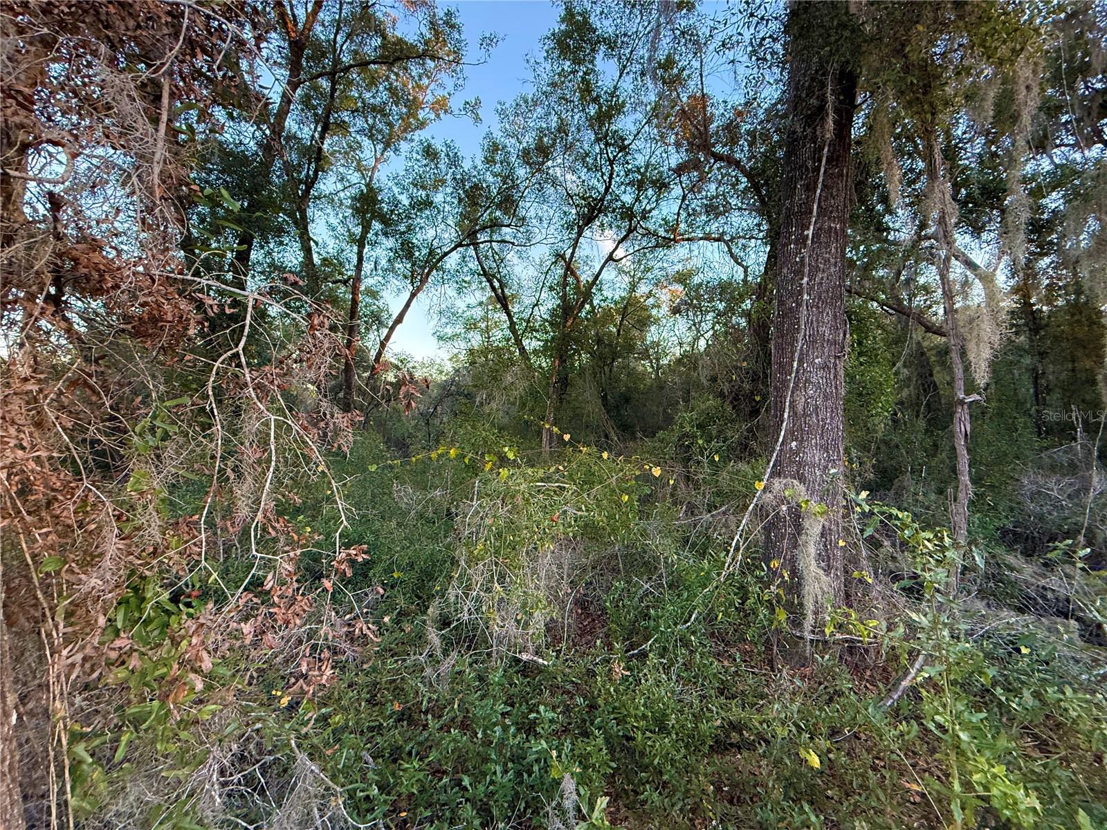 OAK FOREST ESTATES (OAK RIDGE ESTATES) - Land