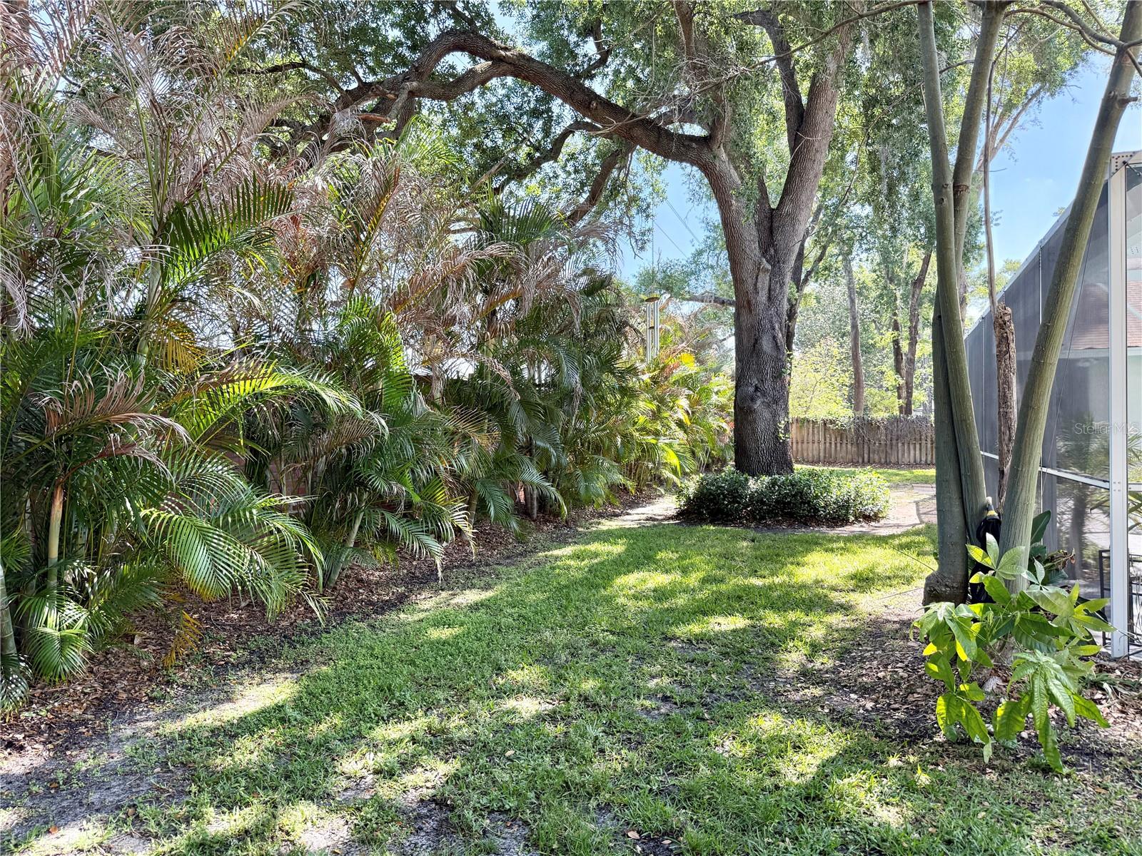 THERESA ARBOR - Residential