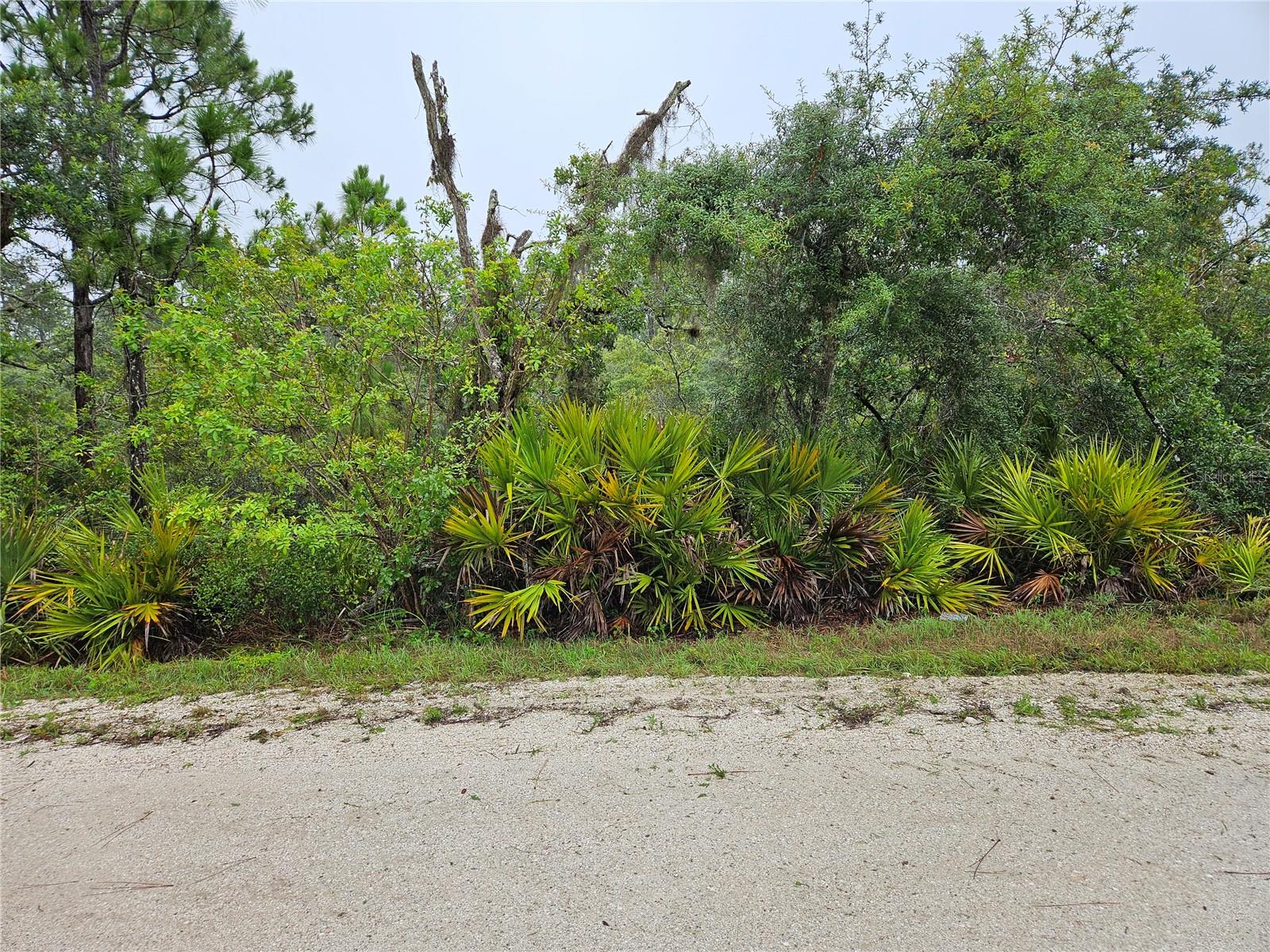 Beautiful residential land for sale in Lake Placid. Motivated Seller! Great to build on.