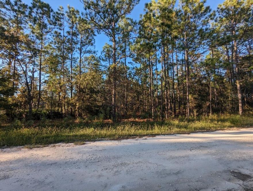 The Rolling Hills Community is a great place to build a home, especially on this 1.16-acre lot. Located in a quiet and peaceful area which is close enough to activities in Ocala, including the World Equestrian Center as well as the beautiful Rainbow Springs in Dunnellon. It is an easy drive to Crystal River as well Gainesville making commuting easy. There is no HOA or social membership!