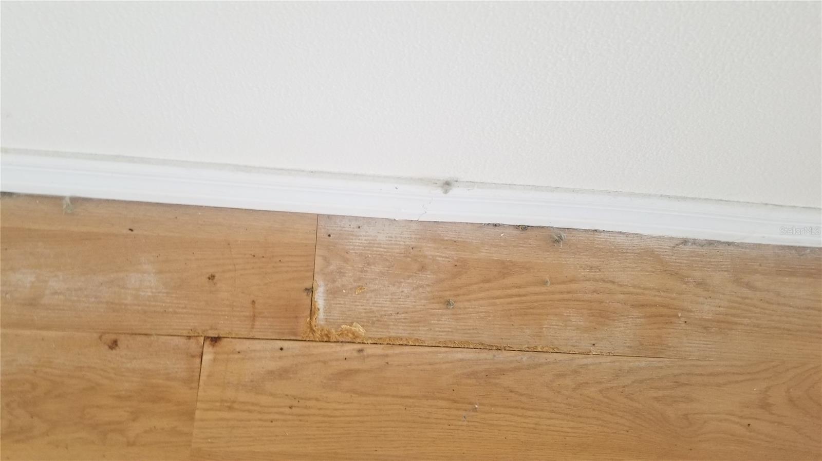 ALOHA GARDENS - Residential Lease