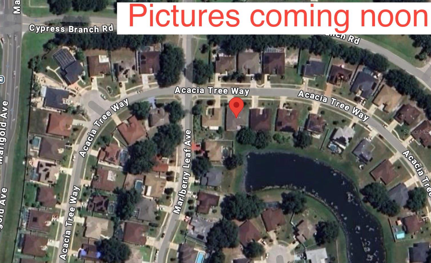 451 ACACIA TREE WAY