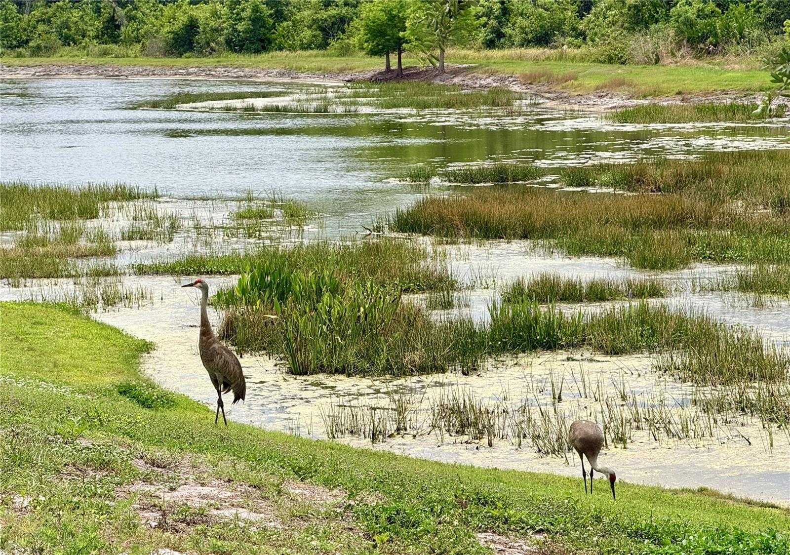 COVE AT TWIN RIVERS - Residential