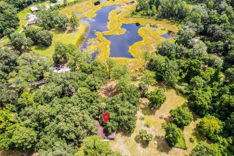 Tiny photo for 8465 NW 186th Street, Reddick, FL 32686 (MLS # GC532404)