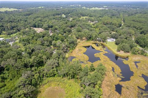 Tiny photo for 8465 NW 186th Street, Reddick, FL 32686 (MLS # GC532404)