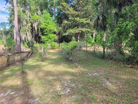 Tiny photo for 8465 NW 186th Street, Reddick, FL 32686 (MLS # GC532404)