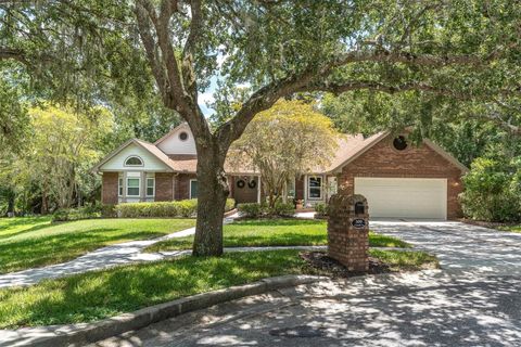300 CASCADE LANE PALM HARBOR FL 34684