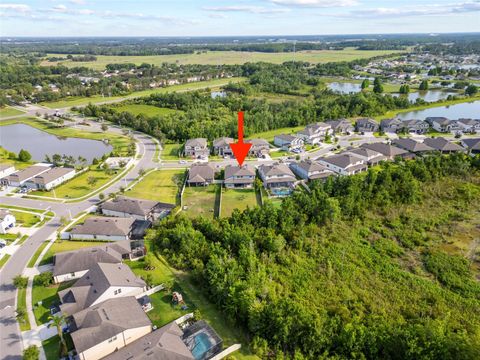 31643 COLADA DRIFT WAY WESLEY CHAPEL FL 33545