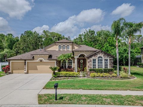 Photo of 16200 Ivy Lake Drive, Odessa, FL 33556 (MLS # TB8366372)