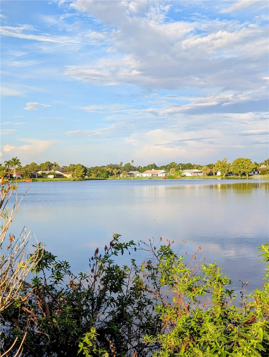 Excellent opportunity to own a cleared, ready-to-build lakefront lot with breathtaking views and direct access to peaceful freshwater canals. Imagine fishing, kayaking, or simply enjoying the serene water right from your backyard. Located in a desirable X flood zone with public water available, this property not only helps you save on flood insurance but also offers added peace of mind. With no HOA fees or CDD restrictions, you’ll have the freedom to design the home and lifestyle you’ve always envisioned. Whether you’re looking to build your forever home, create a seasonal retreat, or secure a smart investment, this lot is the perfect place to bring your vision to life.
