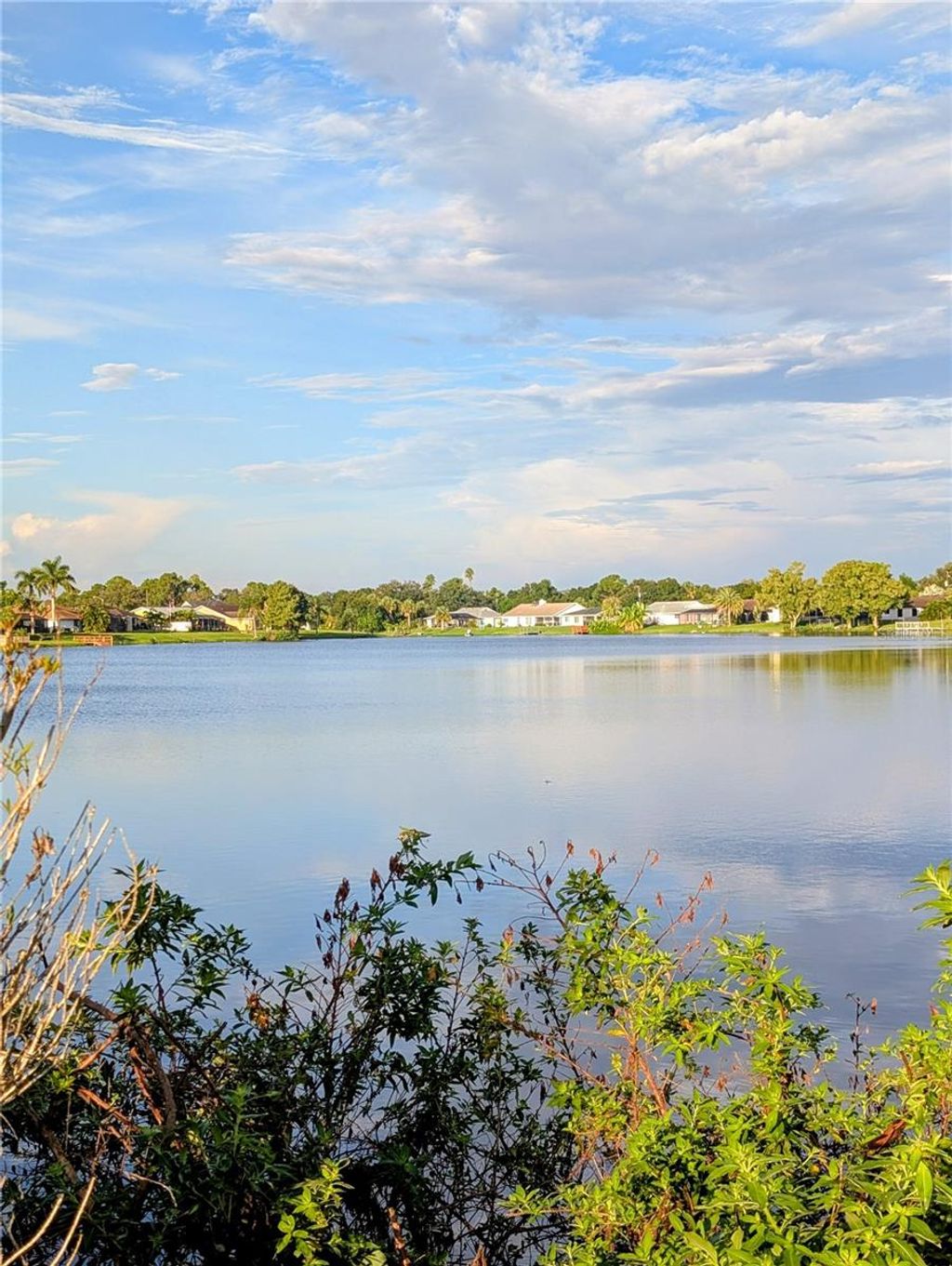 Photo of 22309 Priscilla Avenue, Port Charlotte, FL 33954 (MLS # C7514823)