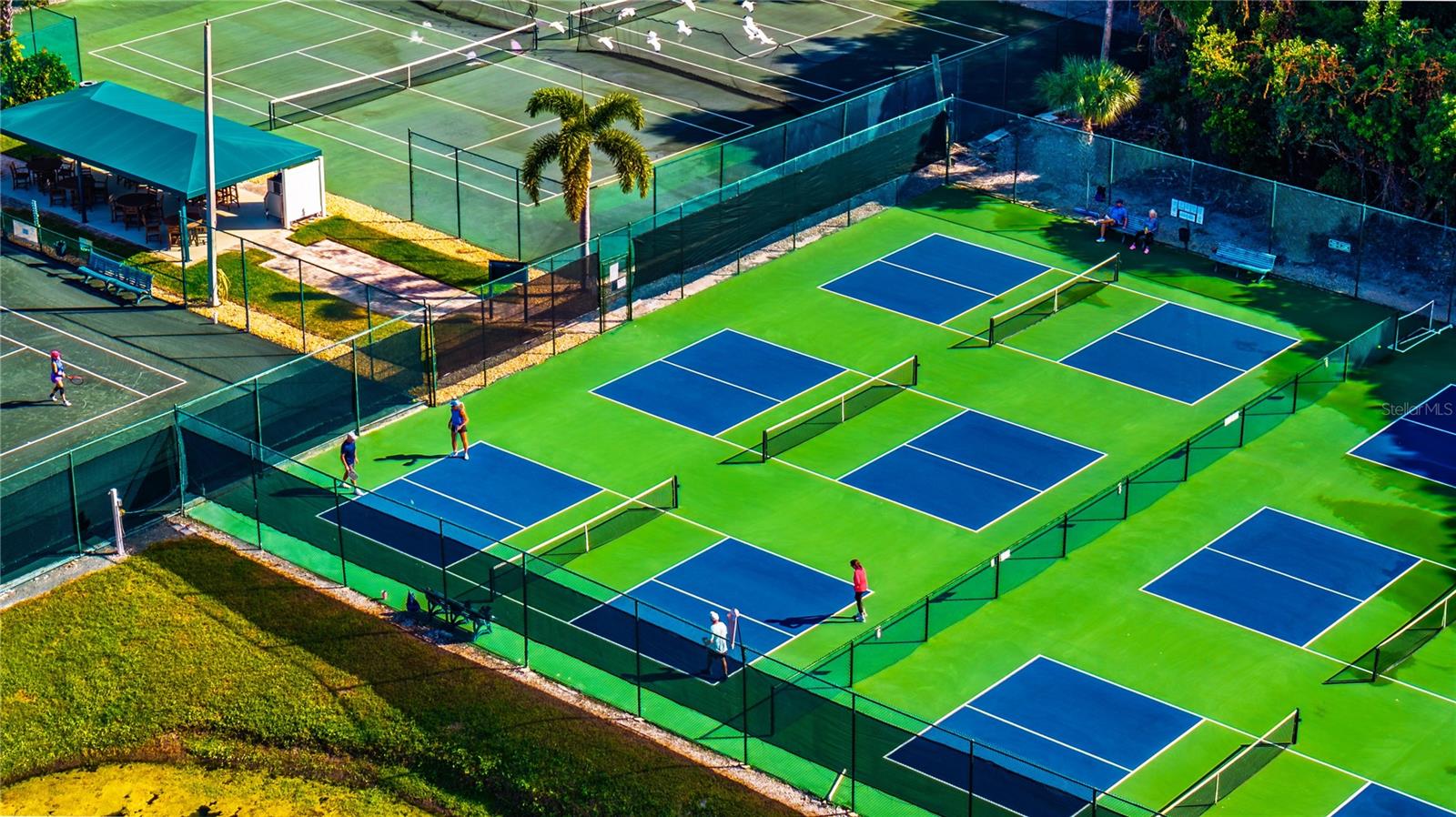 REGENCY ISLAND DUNES - Residential