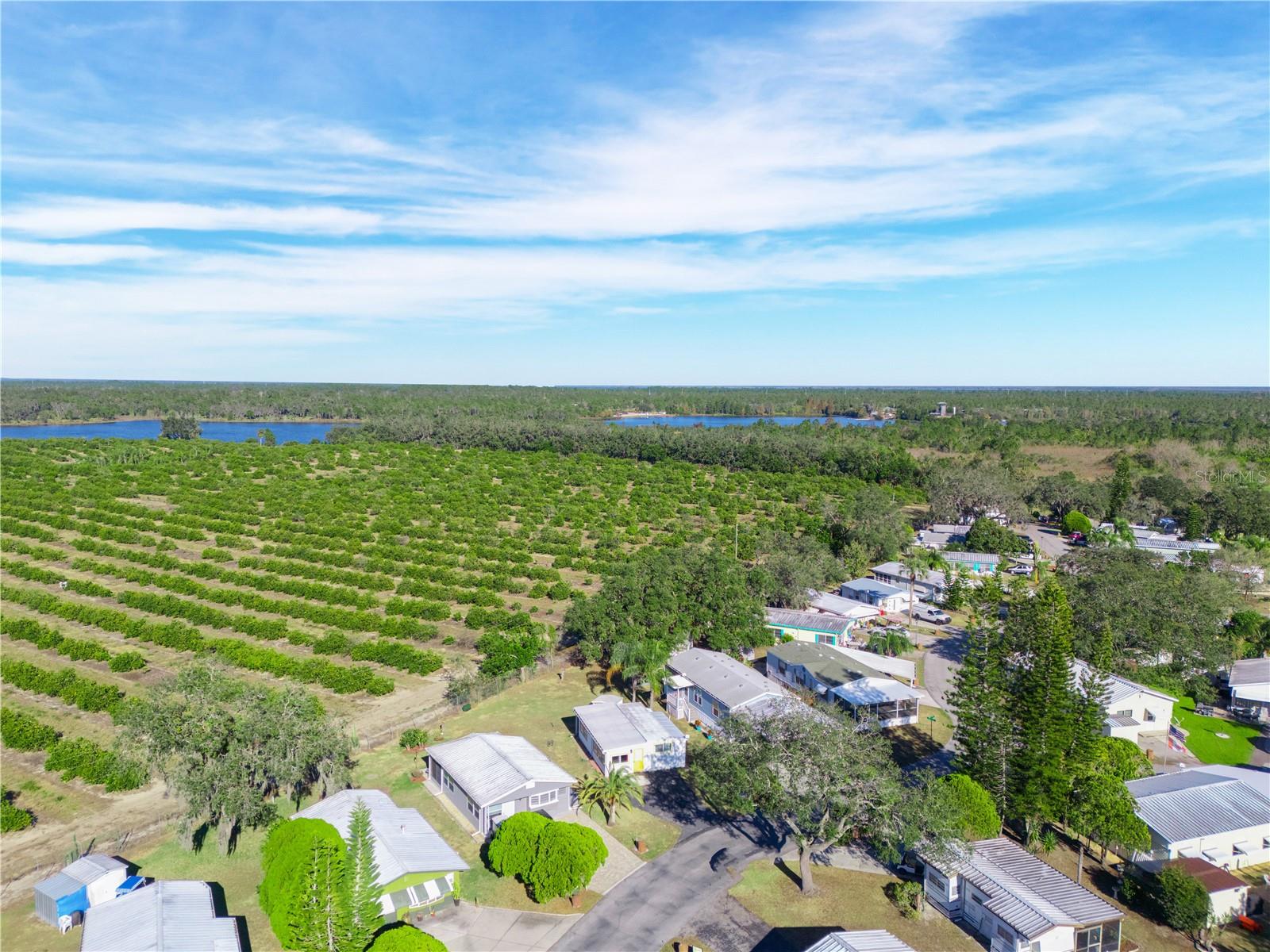 SADDLEBAG LAKE - Residential