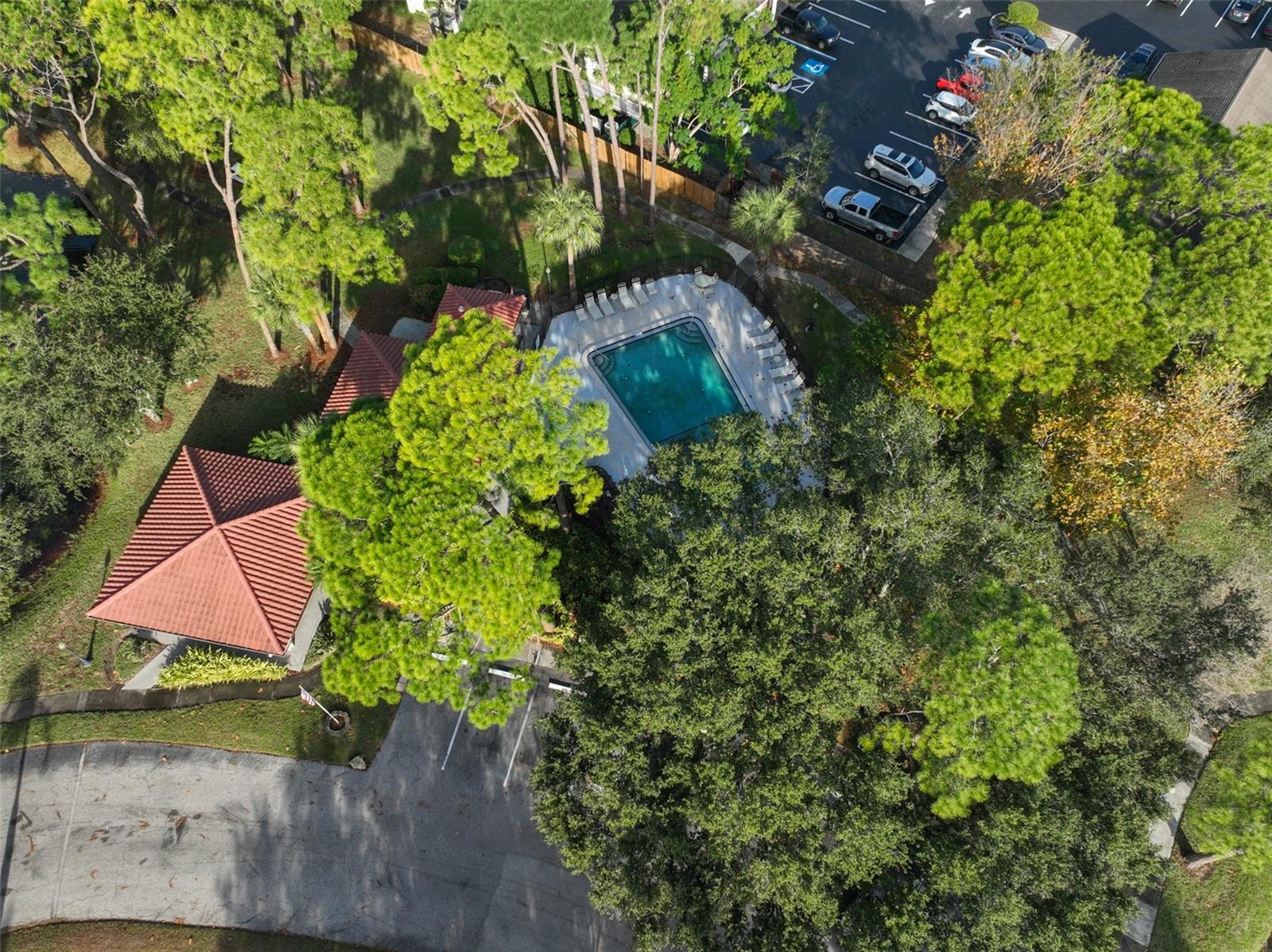 RUSTLEWOOD AT COUNTRYSIDE CONDO - Residential Lease