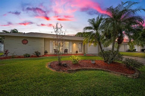 A home in PALM HARBOR