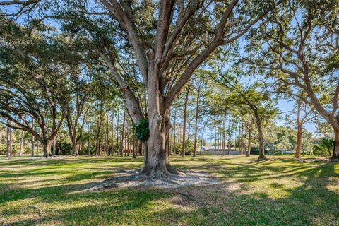 A home in PALM HARBOR