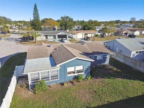 A home in PORT RICHEY