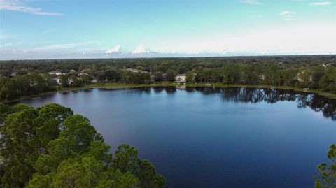 A home in ORLANDO