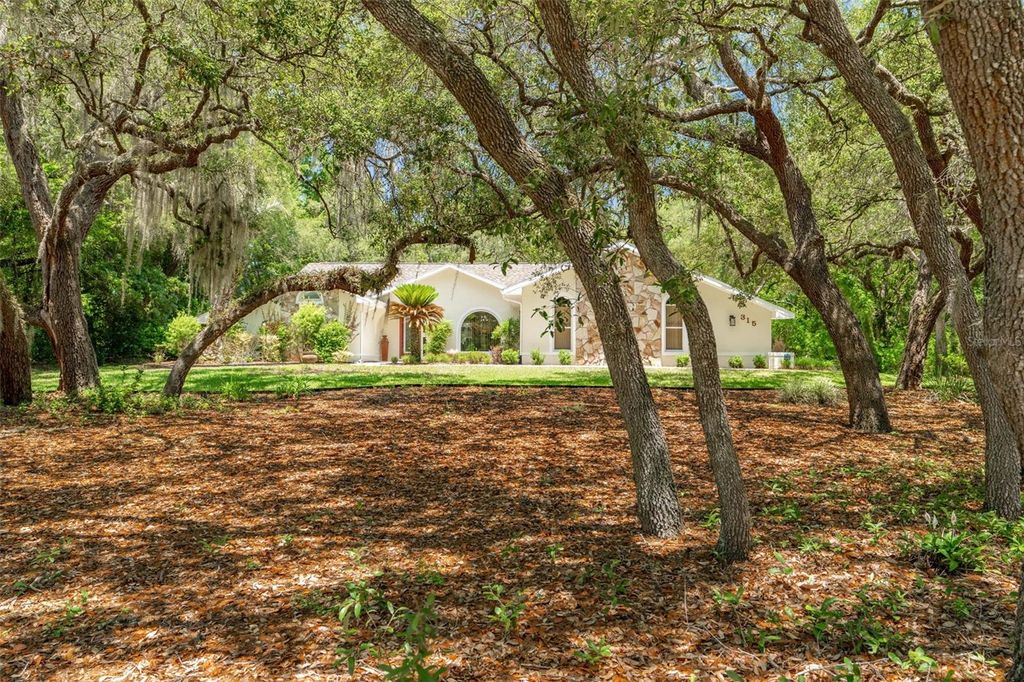 Photo of 315 W Britain Street, Hernando, FL 34442 (MLS # OM724831)