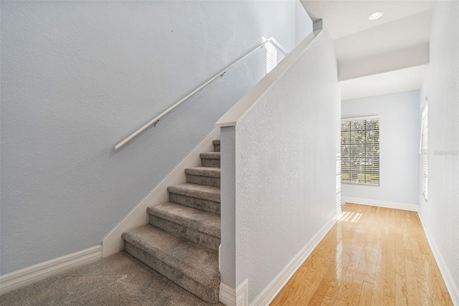 SUNSET BAY TARPON SPGS - Residential