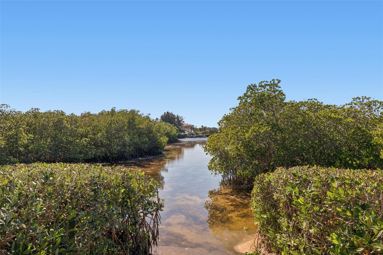 SUNSET BAY TARPON SPGS - Residential
