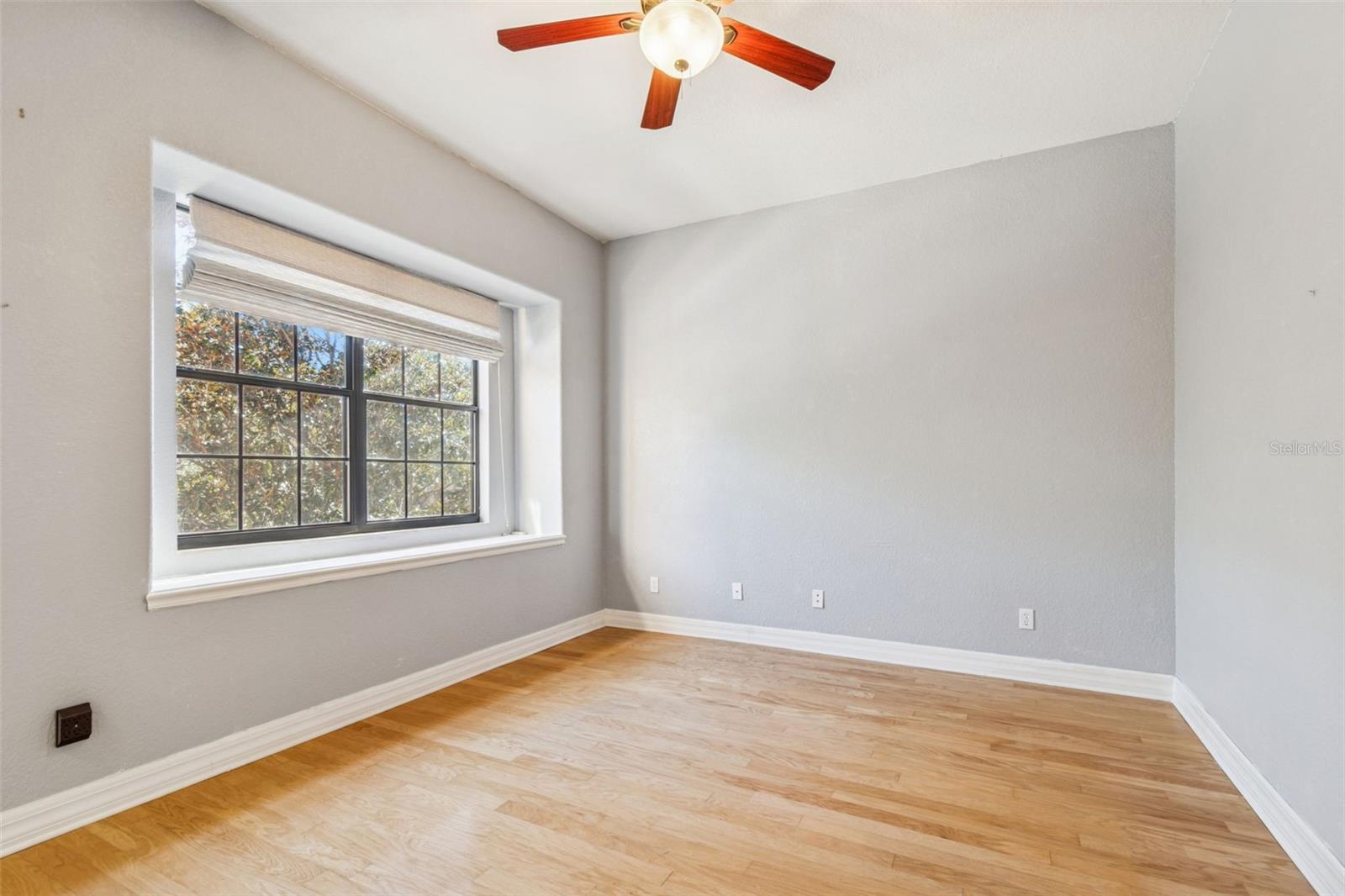 SUNSET BAY TARPON SPGS - Residential