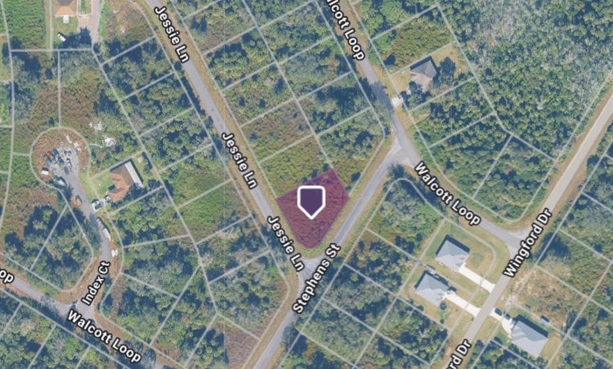 One or more photo(s) has been virtually staged. This well-maintained vacant lot is confirmed to be high and dry with no wetlands, protected species, or gopher tortoises present, making it an ideal site to build your dream home. The neighborhood is thriving, with multiple homes already built nearby and many more under construction, adding to its growth and value. Situated on a paved road with a convenient electric pole nearby, this lot offers both space and a prime location. Whether you’re planning to build or invest, this is an opportunity you won’t want to miss.