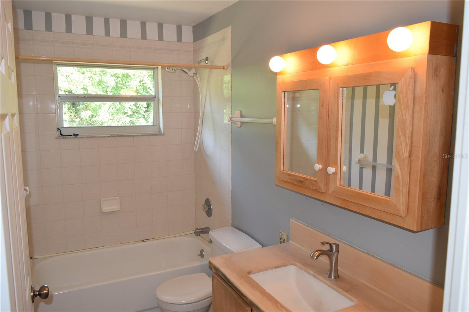 LEHIGH PARK - Residential