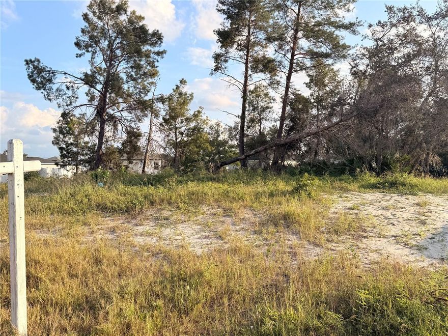 Discover this fantastic residential lot in the desirable Poinciana community—perfect for builders,
investors, or anyone looking to build a future home. Located in a high-growth area surrounded by
new construction, this lot offers convenient access to Poinciana Pkwy, Lake Marion, shopping,
dining, medical facilities, and a variety of recreational amenities. With low HOA and access to
community parks, sports courts, and walking paths, this location adds excellent value for both
personal use and long-term investment. A great opportunity in one of Osceola County’s
fastest-growing communities.