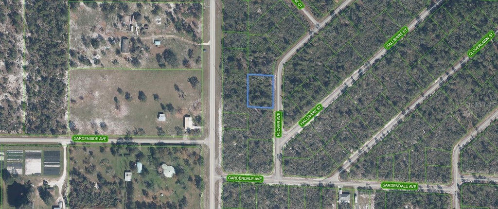 Photo of 1046 Plover Avenue, Lake Placid, FL 33852 (MLS # C7532355)