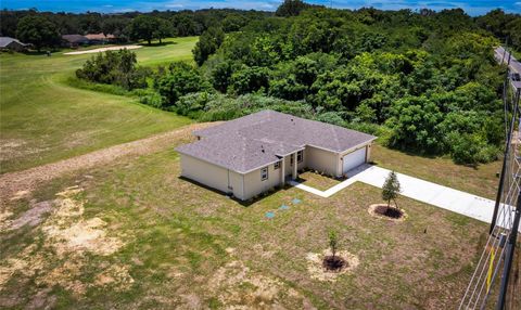 Tiny photo for 15190 Cr-565a, Clermont, FL 34711 (MLS # NS1082169)