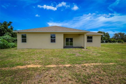 Tiny photo for 15190 Cr-565a, Clermont, FL 34711 (MLS # NS1082169)