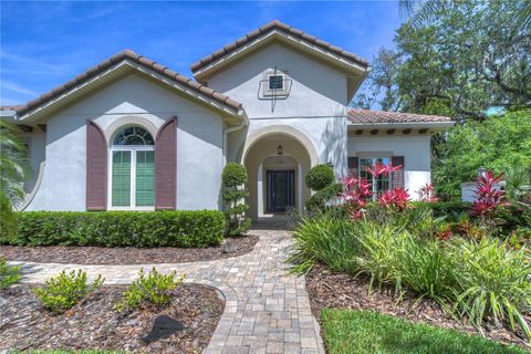 A home in LITHIA