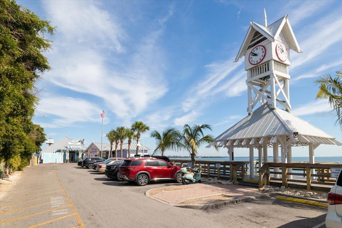 BRADENTON TROPICAL PALMS CO-OP - Residential