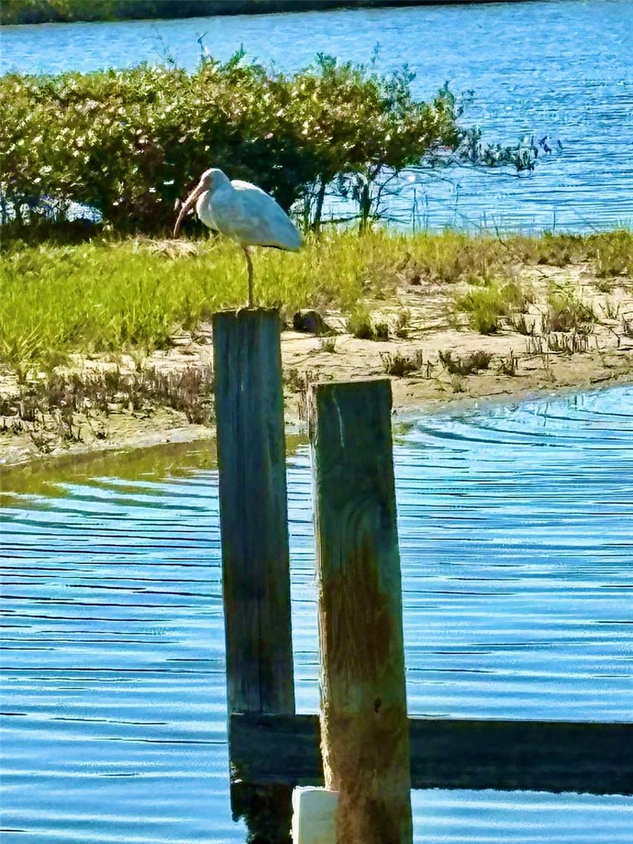 OCEAN PALM VILLAS SOUTH - Residential