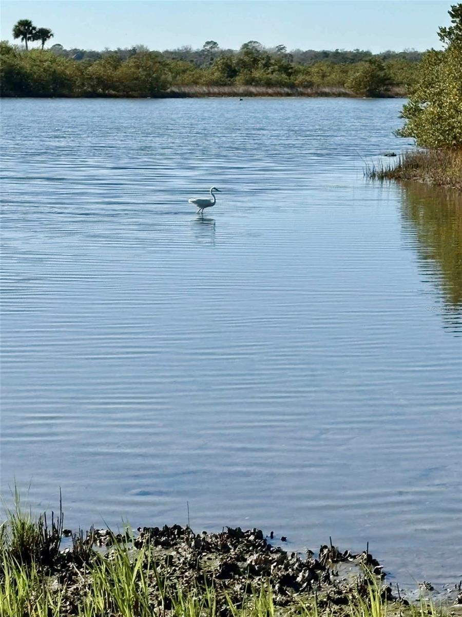 OCEAN PALM VILLAS SOUTH - Residential