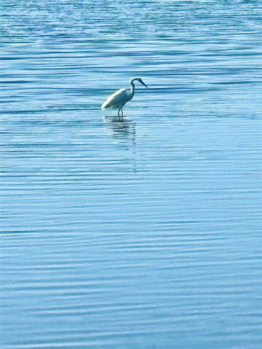 OCEAN PALM VILLAS SOUTH - Residential