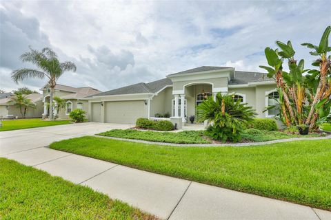Photo of 7521 Melogold Circle, Land O Lakes, FL 34637 (MLS # TB8515480)