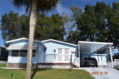 A home in LADY LAKE