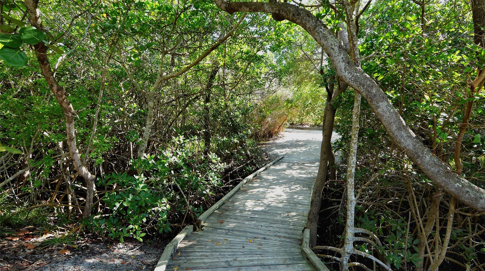 SAINT JUDES APTS - Residential