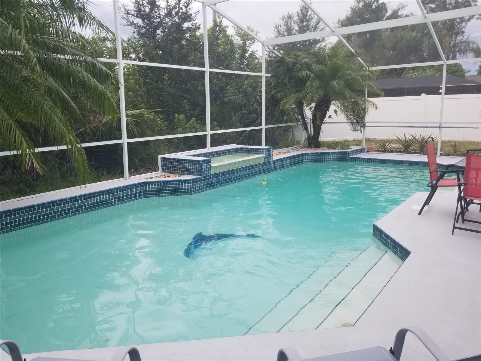 BENTLEY OAKS - Residential