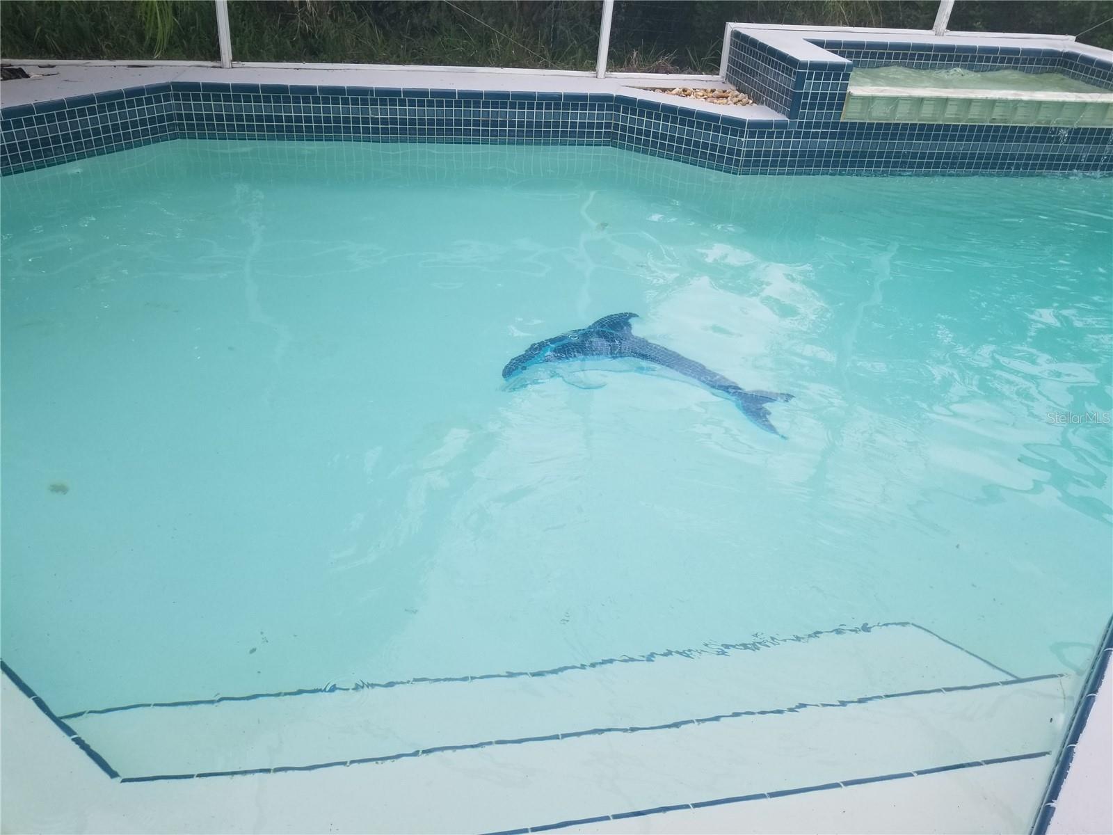 BENTLEY OAKS - Residential