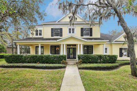 16113 TERNGLADE DRIVE LITHIA FL 33547